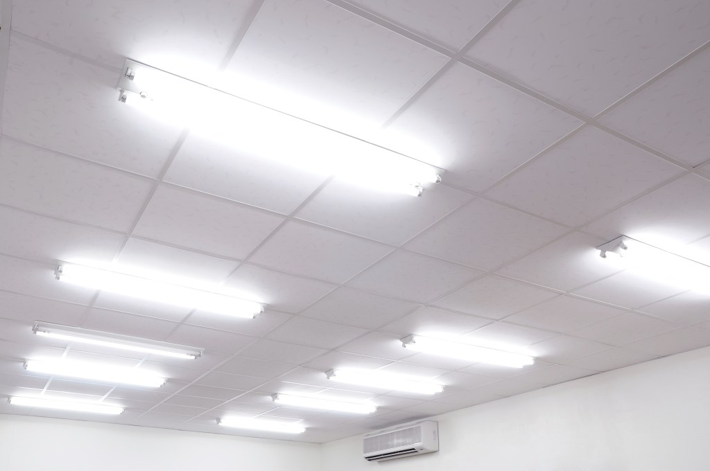 Fluorescent Lights In&nbsp;Schools